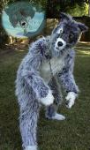 Grey Werewolf Costume â€“ Ashitare