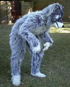 Grey Werewolf Costume â€“ Ashitare