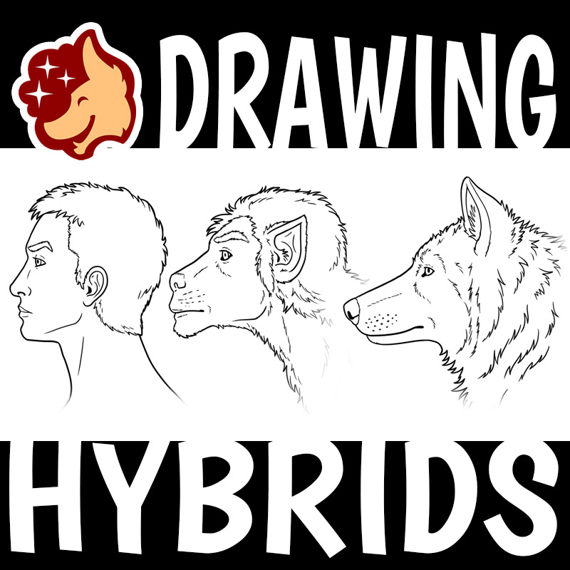 How I Draw Anthros, Hybrids, and Monsters (Video) | Artwork | Red ...